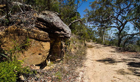 Canoelands Ridge Walking Track - Lismore Accommodation 0