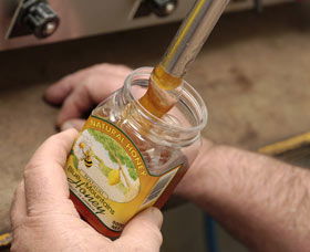 Blue Mountains Honey Company - The Honey Shed - Lismore Accommodation 1