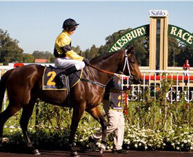 Hawkesbury Race Club - Lismore Accommodation 2