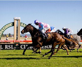 Hawkesbury Race Club - Lismore Accommodation 1