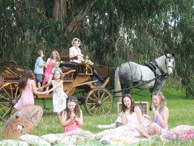 Classic Carriage Drives - Lismore Accommodation 1