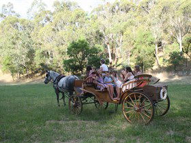 Classic Carriage Drives - Lismore Accommodation 3
