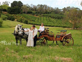 Classic Carriage Drives - Lismore Accommodation 2