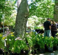 The Stirling Market - Lismore Accommodation