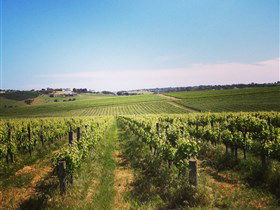 Adelaide Winemakers - Lismore Accommodation 0