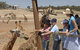 Monarto Open Range Zoo - thumb 0