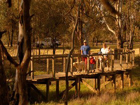 Loxton's Drives, Walks And Trails - Lismore Accommodation 0