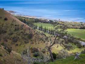 Lady Bay Beach - Lismore Accommodation 1