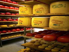 Alexandrina Cheese Company - Lismore Accommodation 0
