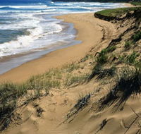 Newland Head Conservation Park - Lismore Accommodation