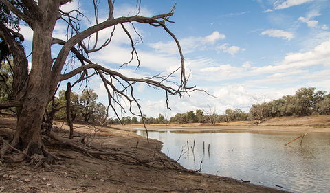Toorale National Park - Lismore Accommodation 0