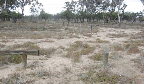 Culgoa Connellys Track - Lismore Accommodation 0