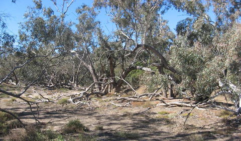 Mirri Mirru Yurun - Lismore Accommodation 0