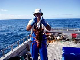 Lacepede Seafood - Lismore Accommodation 2