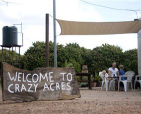 Crazy Acres - Lismore Accommodation 0