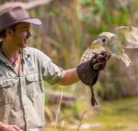 Territory Wildlife Park - Lismore Accommodation