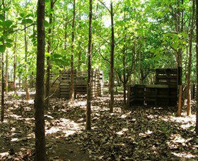 United Paintball - Lismore Accommodation 2