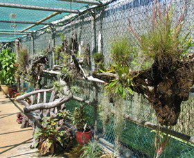 George Brown Darwin Botanic Gardens - Lismore Accommodation 5