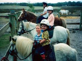 Limestone Coast Horseriding - Lismore Accommodation 1