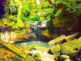 Carnarvon Gorge, Carnarvon National Park - Lismore Accommodation 0
