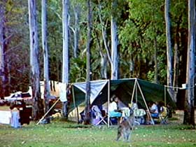 Carnarvon Gorge, Carnarvon National Park - Lismore Accommodation 2
