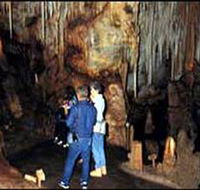Tantanoola Caves Conservation Park - Lismore Accommodation