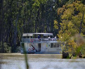 Wetlander Cruises - Lismore Accommodation 2