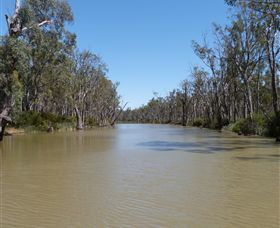 Wetlander Cruises - Lismore Accommodation 3