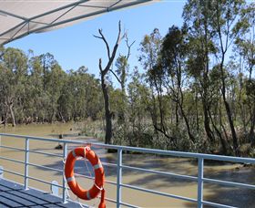 Wetlander Cruises - Lismore Accommodation 6