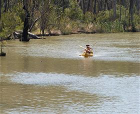 Wetlander Cruises - Lismore Accommodation 5