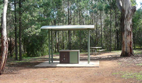 Jacks Creek Walking Track - Lismore Accommodation 1