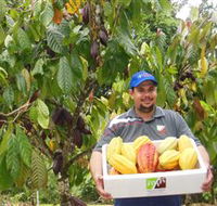 Sweet Farm Tours - Lismore Accommodation