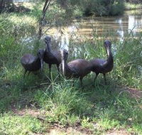 East Tolans Farm Tour - Lismore Accommodation