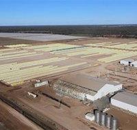 Southern Cotton Gin - Lismore Accommodation