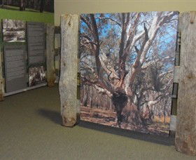 Barmah Forest Heritage And Education Centre - Lismore Accommodation 2