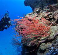 Three Sisters Dive Site - Lismore Accommodation