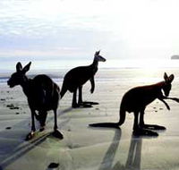 Hibiscus Coast - Lismore Accommodation