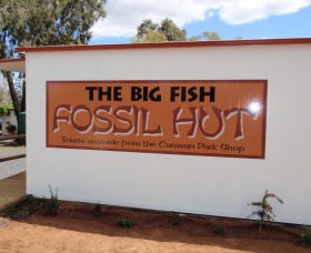 Big Fish Fossil Hut At Peak Hill - Lismore Accommodation 0