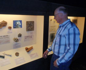 Big Fish Fossil Hut At Peak Hill - Lismore Accommodation 1