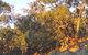 Mount Alexander Regional Park - thumb 0
