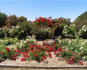 Barooga Botanical Gardens - Lismore Accommodation 2