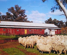 Savernake Day Tours - Lismore Accommodation 1