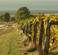 Captains Creek Organic Wines - Lismore Accommodation