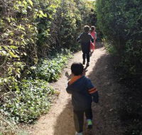The Tangled Maze  Mistydowns Nursery - Lismore Accommodation