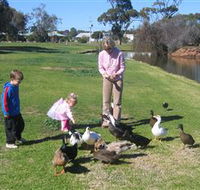 Roy Little Park Merredin - Lismore Accommodation