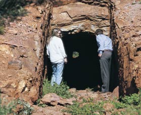 Joker's Tunnel - Lismore Accommodation 0