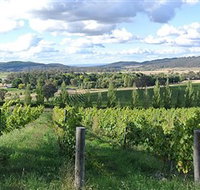 Sassy Wines - Lismore Accommodation