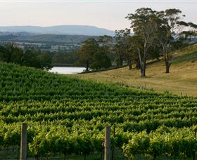Granite Hills Winery - Lismore Accommodation 0