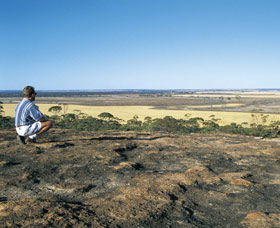Marshall Rock - Lismore Accommodation 0