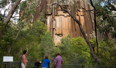Sawn Rocks Walking Track - Lismore Accommodation 0